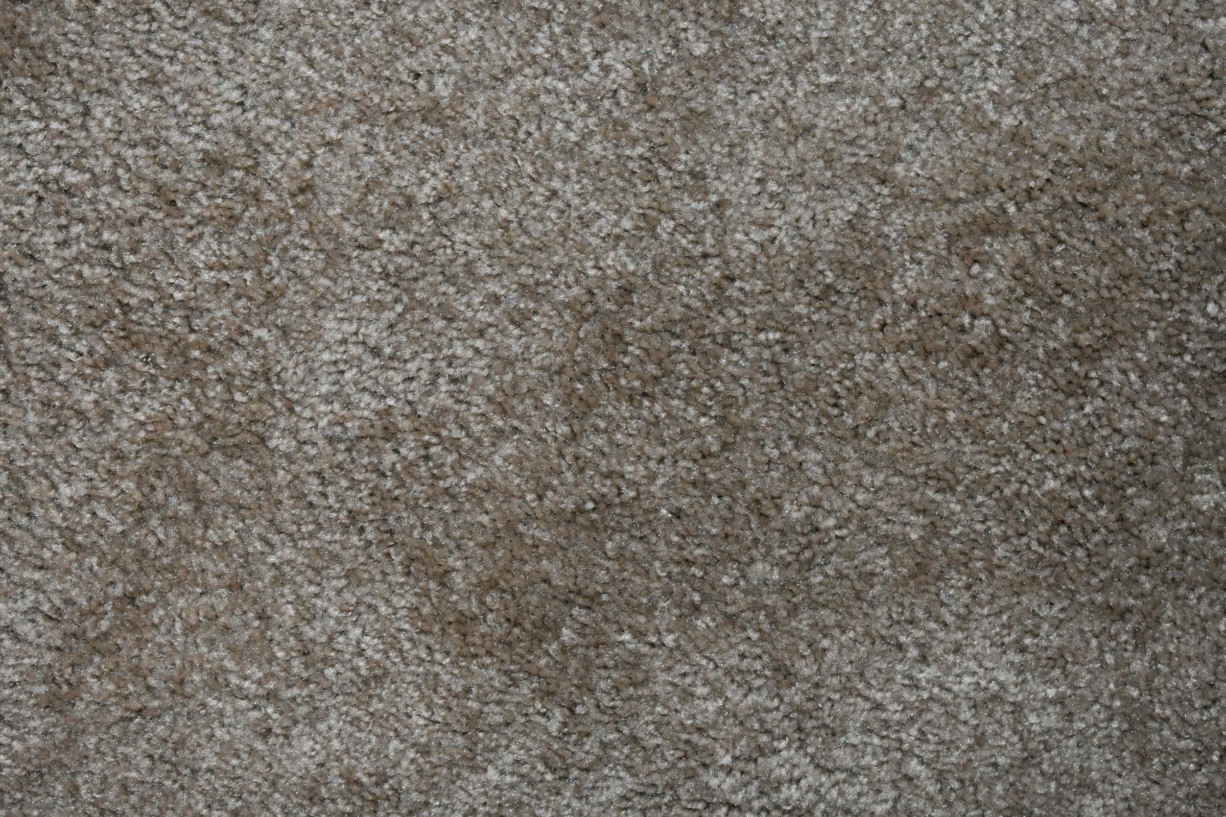Carpet flooring sample