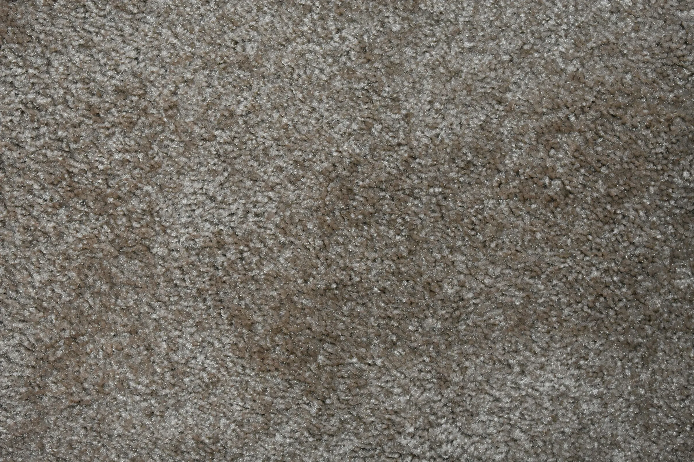 Soft, textured carpet surface in a warm cream-to-charcoal tonal range.