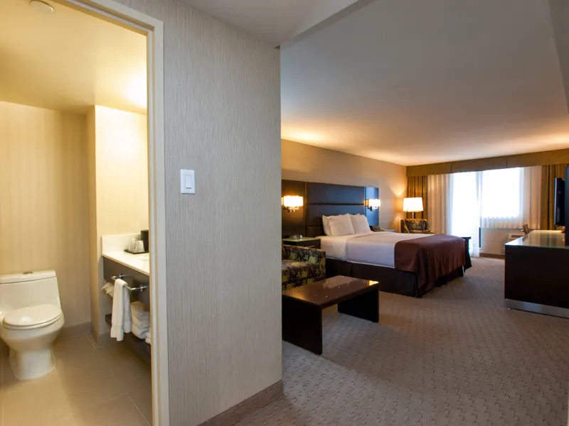 Holiday Inn Vancouver Centre — holidayinnv7