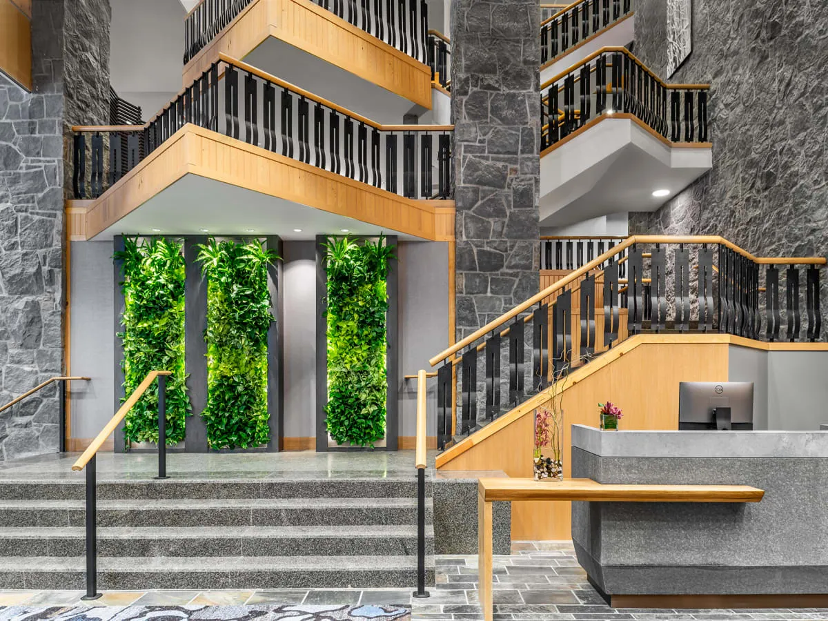 Westin Whistler — Phase 1 — westin whister